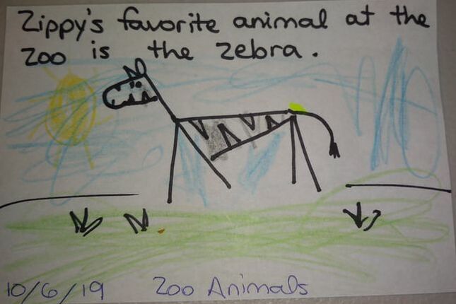 Zoo Animals Star